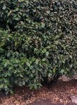 IMG_20161007_141158.jpg
