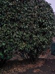 IMG_20161007_141212.jpg
