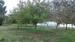 P_20161010_123130.jpg