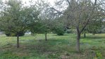 P_20161010_123158.jpg
