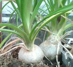 _20161014_160616.JPG