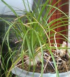 _20161014_160639.JPG