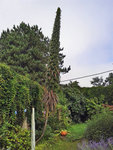 20150822_101754_modifié-2.jpg