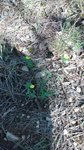 20161015-153955.jpg