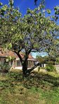 IMG_20160927_150406.jpg