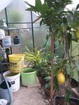 20161022_090420_001_resized.jpg
