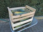 J'ai placé mes six courges à cou long dans des cagettes en bois avec un lit de foin.<br />Les cagettes sont maintenant à la cave.