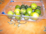 DSCN7276.JPG