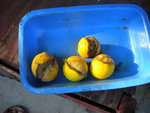 DSCN7275.JPG