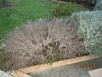 IMG_0007 (800x600).jpg