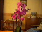 DSCN7288.JPG