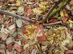 20161029_125729-pluspetit.jpg