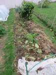 Cet espace sera recouvert de feuilles mortes ces prochains jours.