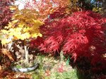 DSC02822.JPG