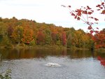 DSCN6431.JPG