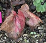DSC01146.JPG