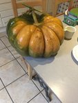 IMG_4151.JPG