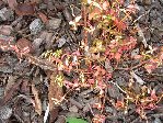 DSCN4474.JPG