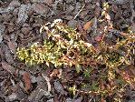 DSCN4475.JPG
