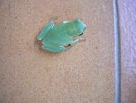 DSCN7308.JPG