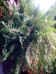 IMG_20161029_092950.jpg