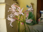 DSCN7306.JPG