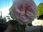 DSCN7301.JPG