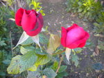 DSCN7314.JPG
