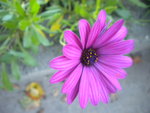 DSCN7320.JPG