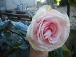 DSCN7322.JPG