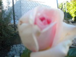 DSCN7323.JPG