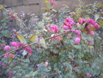 DSCN7324.JPG