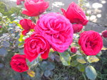 DSCN7325.JPG