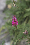 IMG_7446 copie.jpg