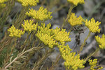 IMG_7437 copie.jpg