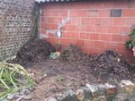 compost (1).jpg