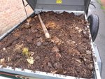 compost (2).jpg