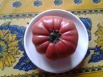 20161115_103923.jpg