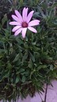DSC_02522.jpg