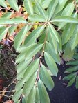 IMG_2435 3.jpeg