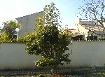 DSC00259.JPG