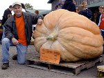 Citrouille.jpg