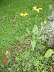 DSC04990.JPG