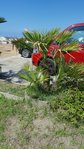 IMG-20161115-WA0001.jpg