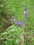 DSC04989.JPG