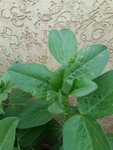 20161203_110444.jpg