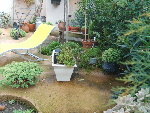 cour 2008 suite 013.jpg