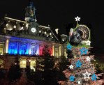 sapin.jpg
