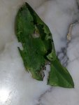 20161205_210208.jpg