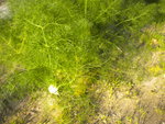 DSCN7356.JPG